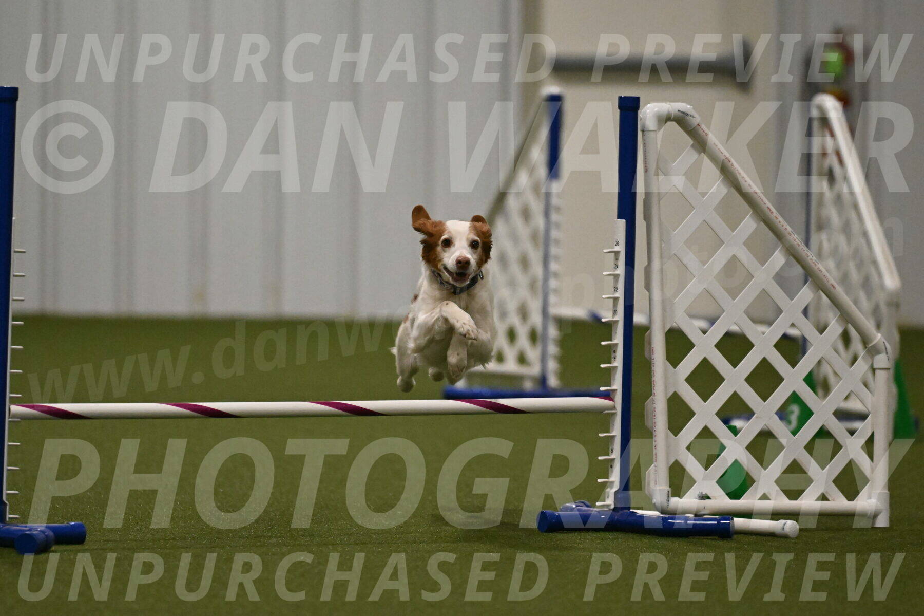 Ana-Jamie-Thompson-09005