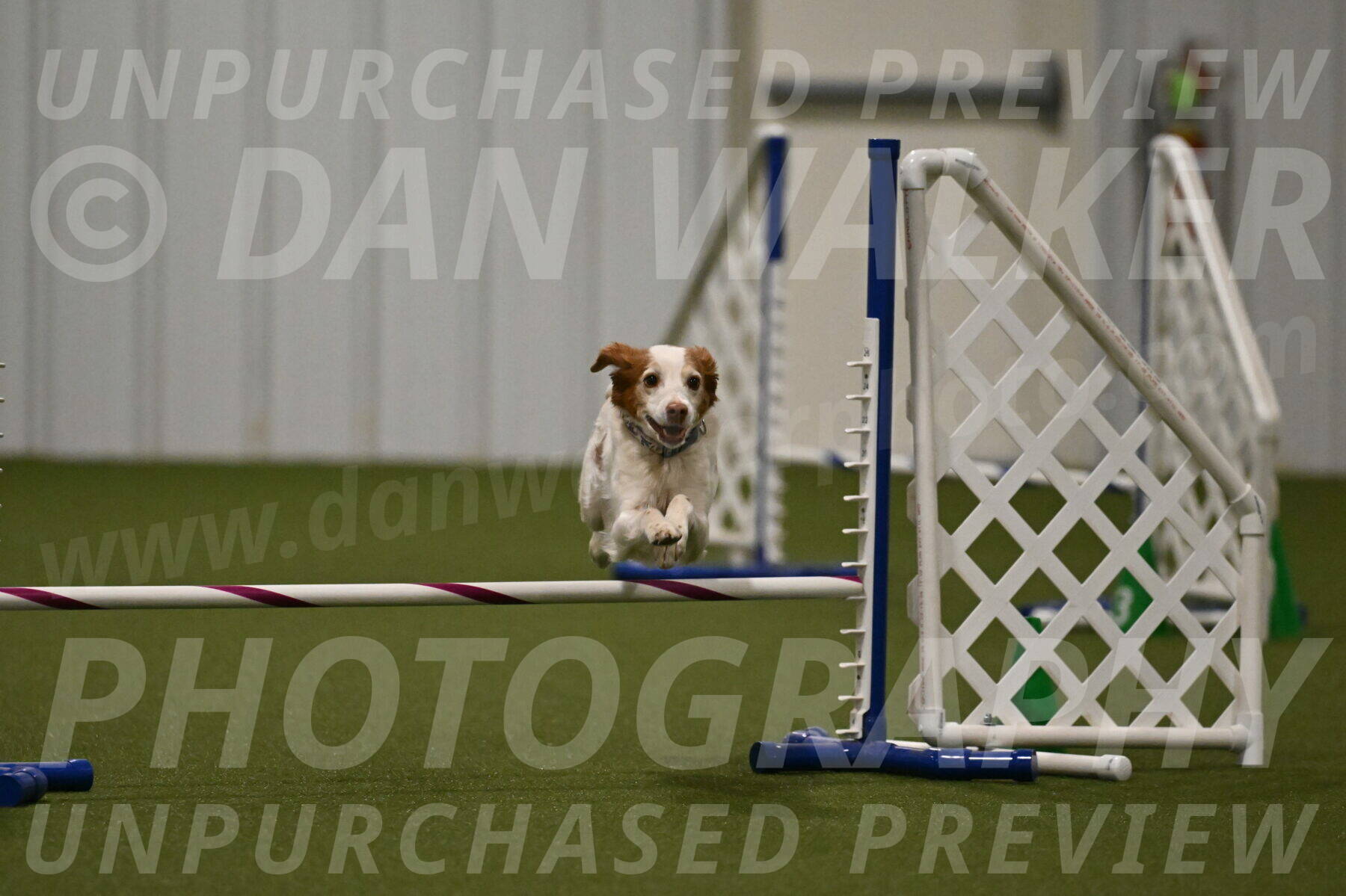 Ana-Jamie-Thompson-09006