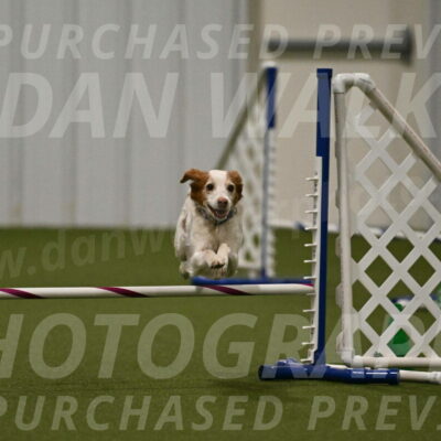 Ana-Jamie-Thompson-09006