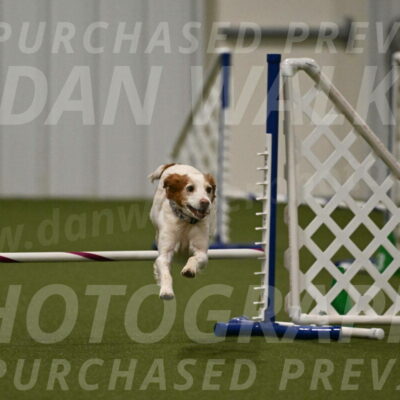 Ana-Jamie-Thompson-09007