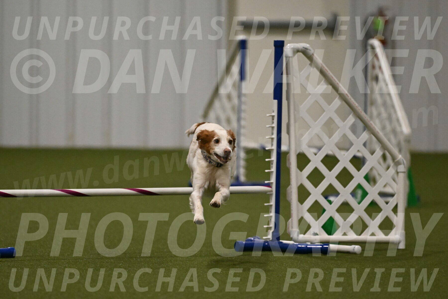 Ana-Jamie-Thompson-09007