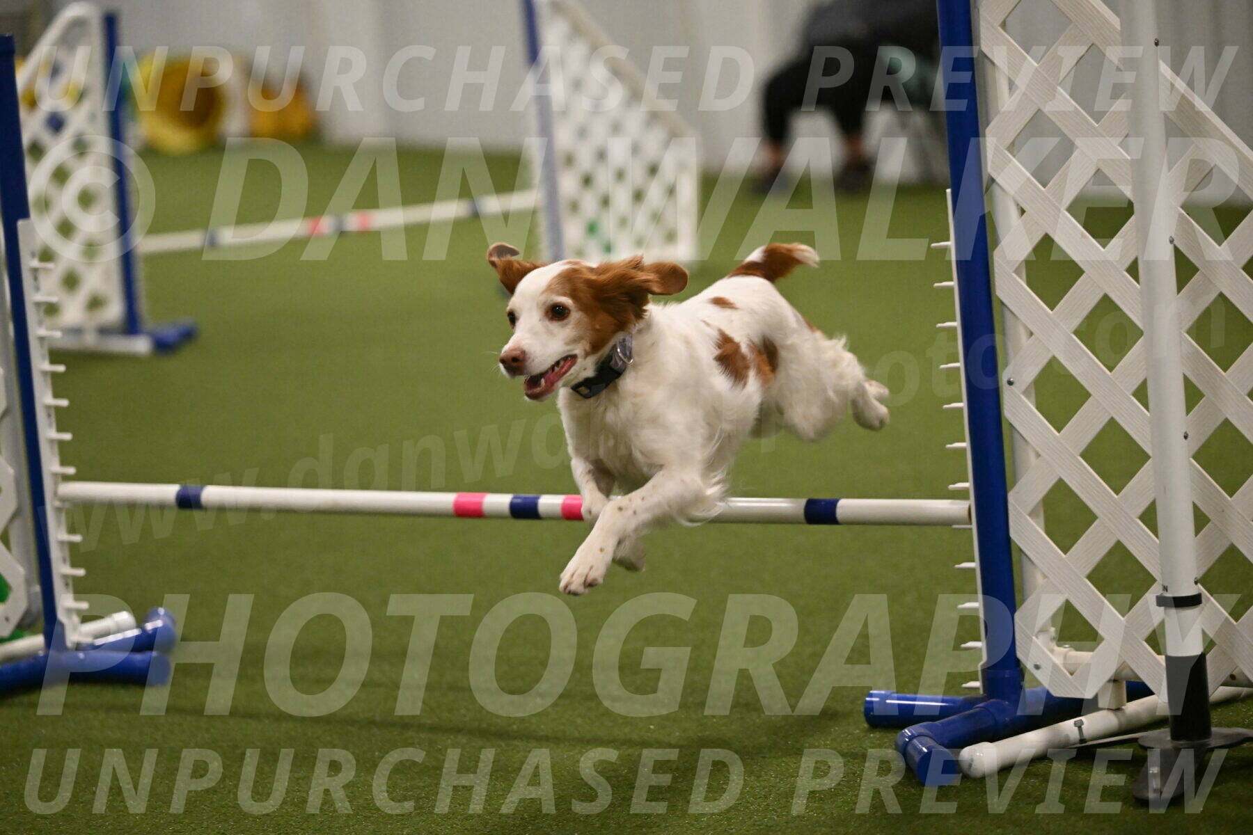 Ana-Jamie-Thompson-09008