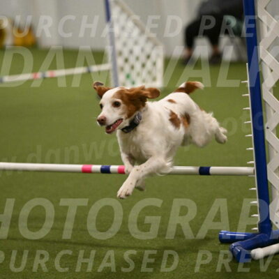 Ana-Jamie-Thompson-09008