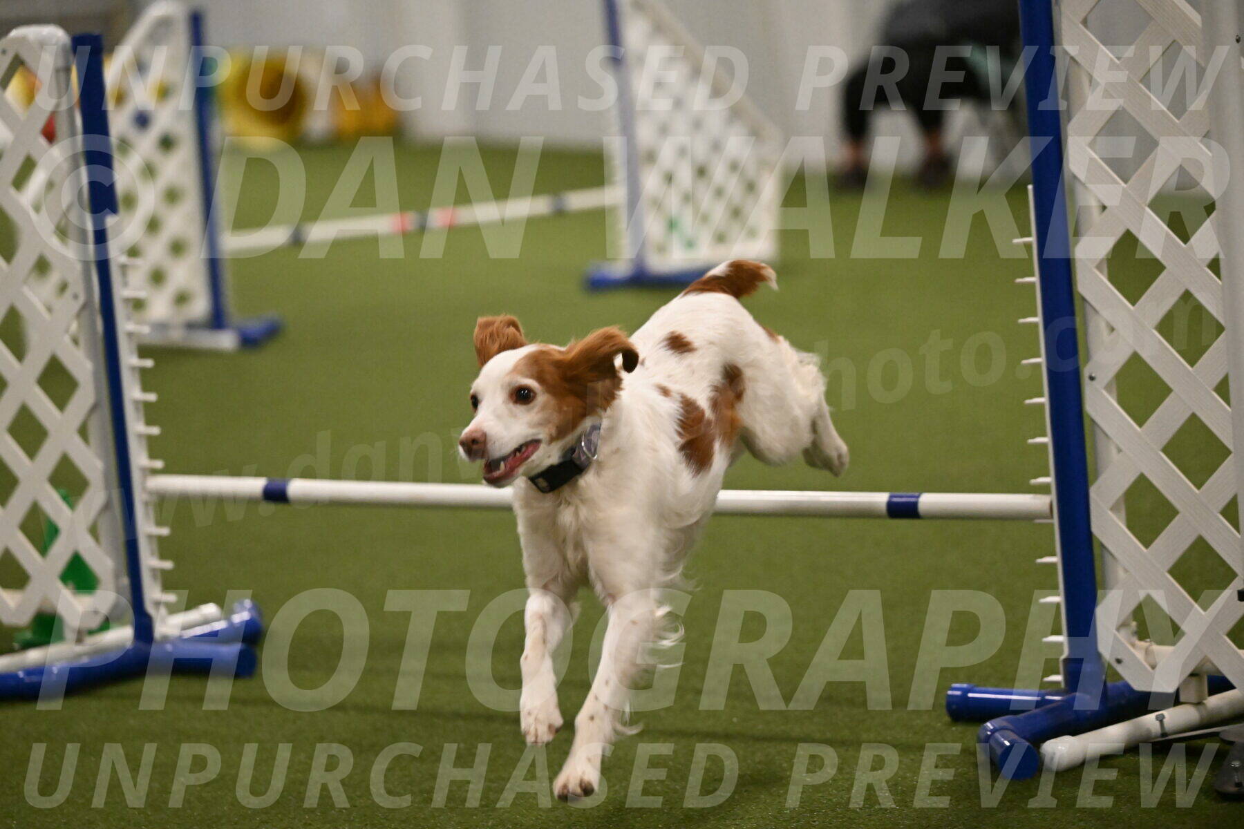 Ana-Jamie-Thompson-09009