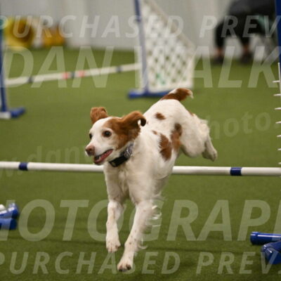 Ana-Jamie-Thompson-09009