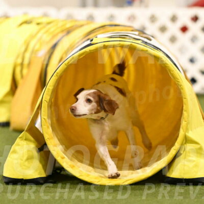 Ana-Jamie-Thompson-09010