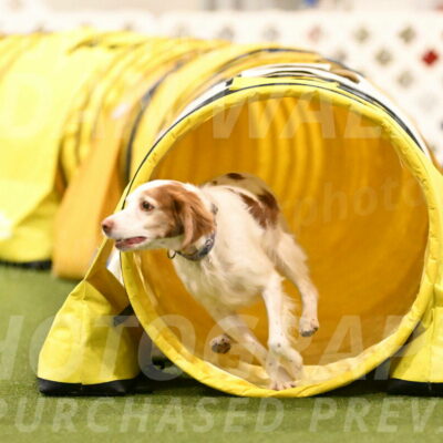 Ana-Jamie-Thompson-09011