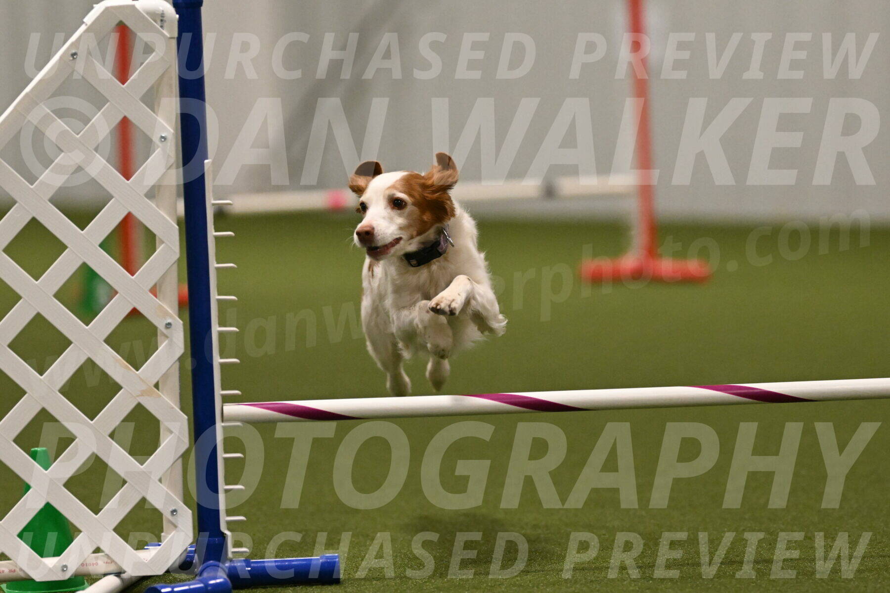 Ana-Jamie-Thompson-09013