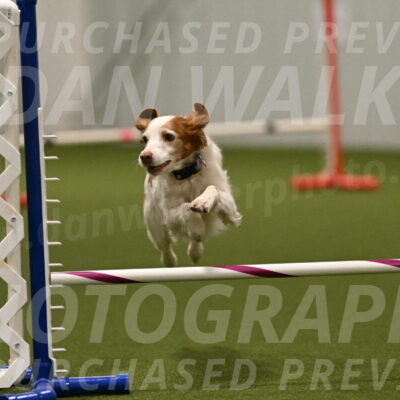 Ana-Jamie-Thompson-09013