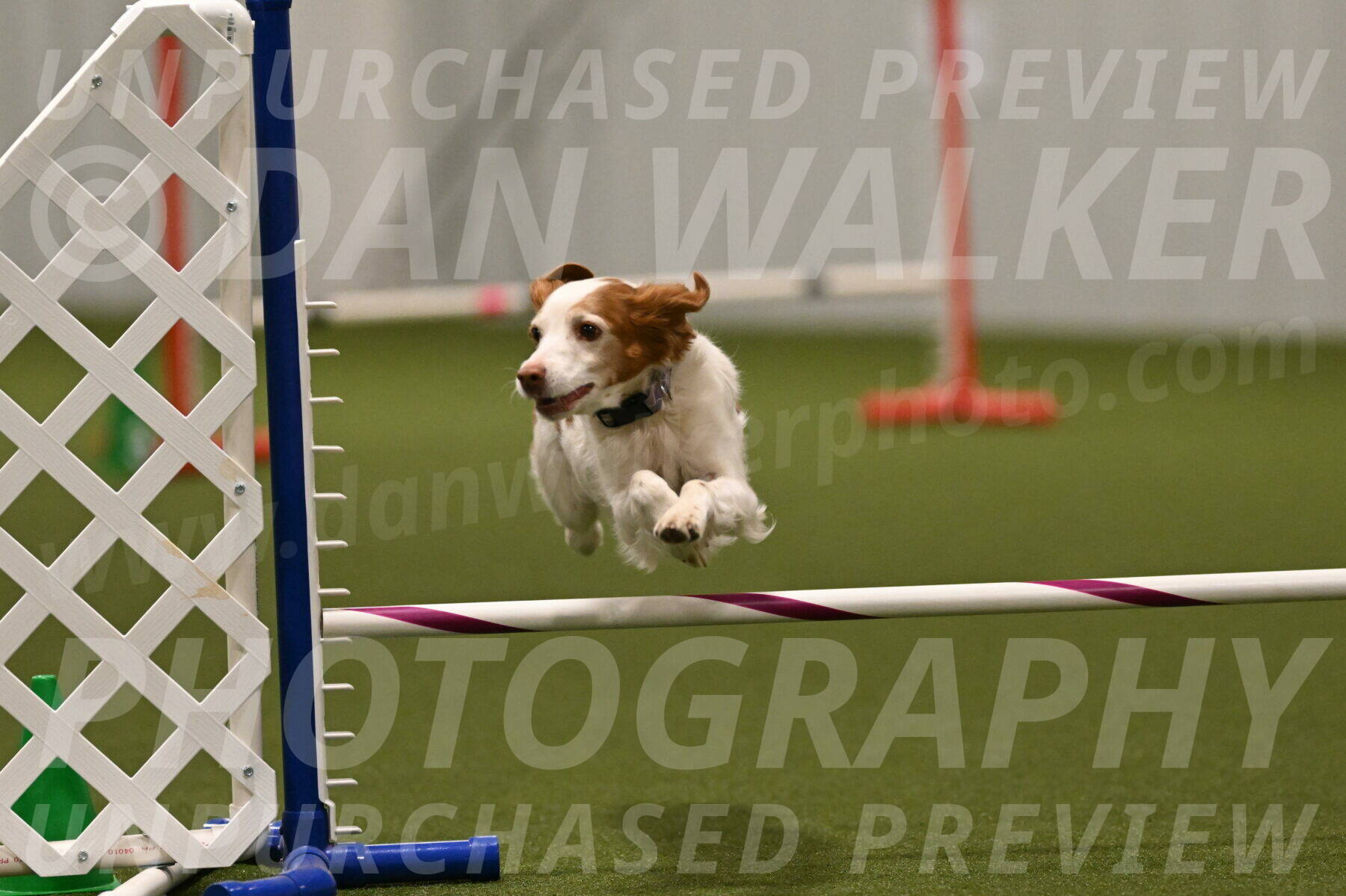 Ana-Jamie-Thompson-09014