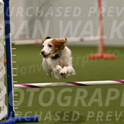 Ana-Jamie-Thompson-09014