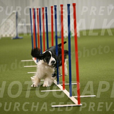 Andy-Christine-Baloh-03793