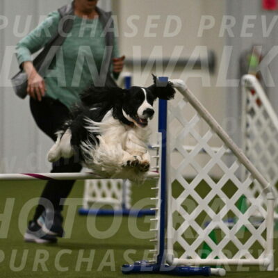 Andy-Christine-Baloh-03798