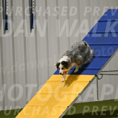 Astraea-Stephanie-Liptak-01245
