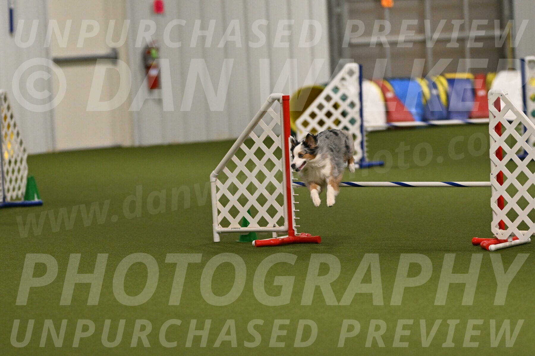 Astraea-Stephanie-Liptak-01320