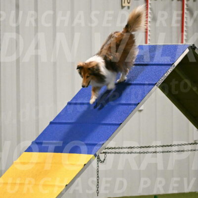 Bailey-Barb-Schmauder-02538