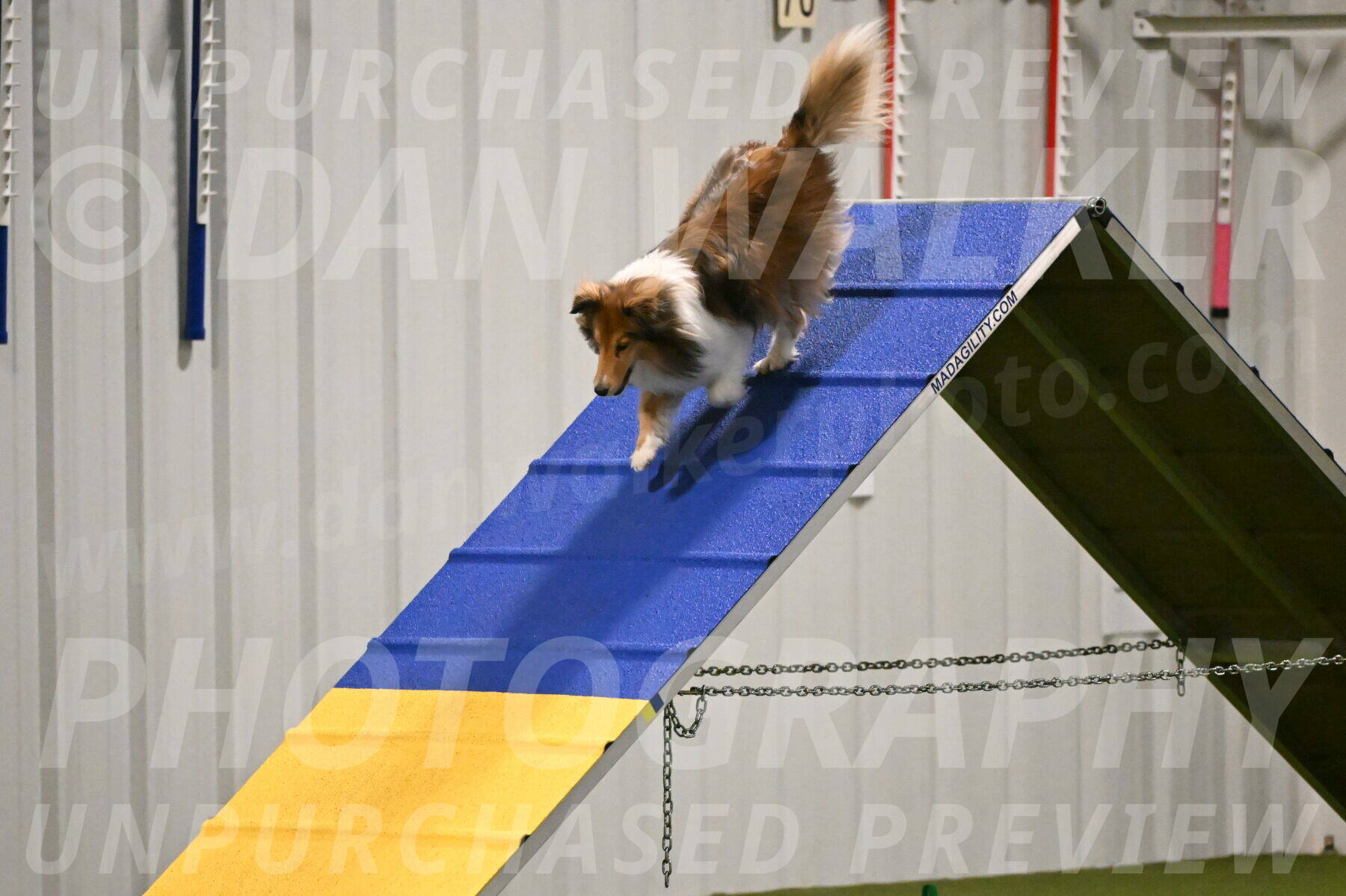 Bailey-Barb-Schmauder-02538