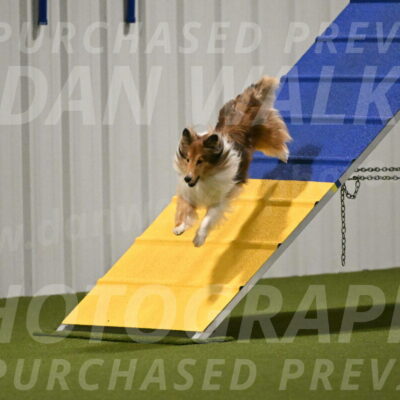 Bailey-Barb-Schmauder-02539