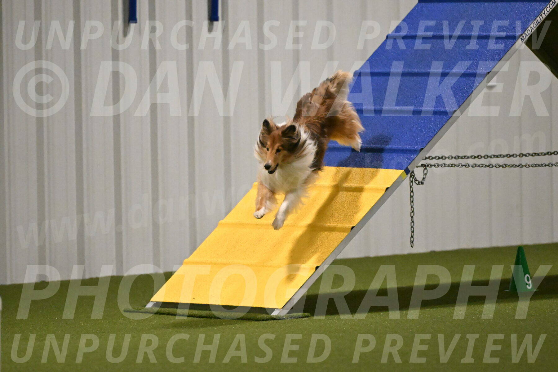 Bailey-Barb-Schmauder-02539