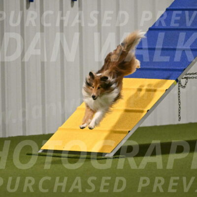 Bailey-Barb-Schmauder-02540