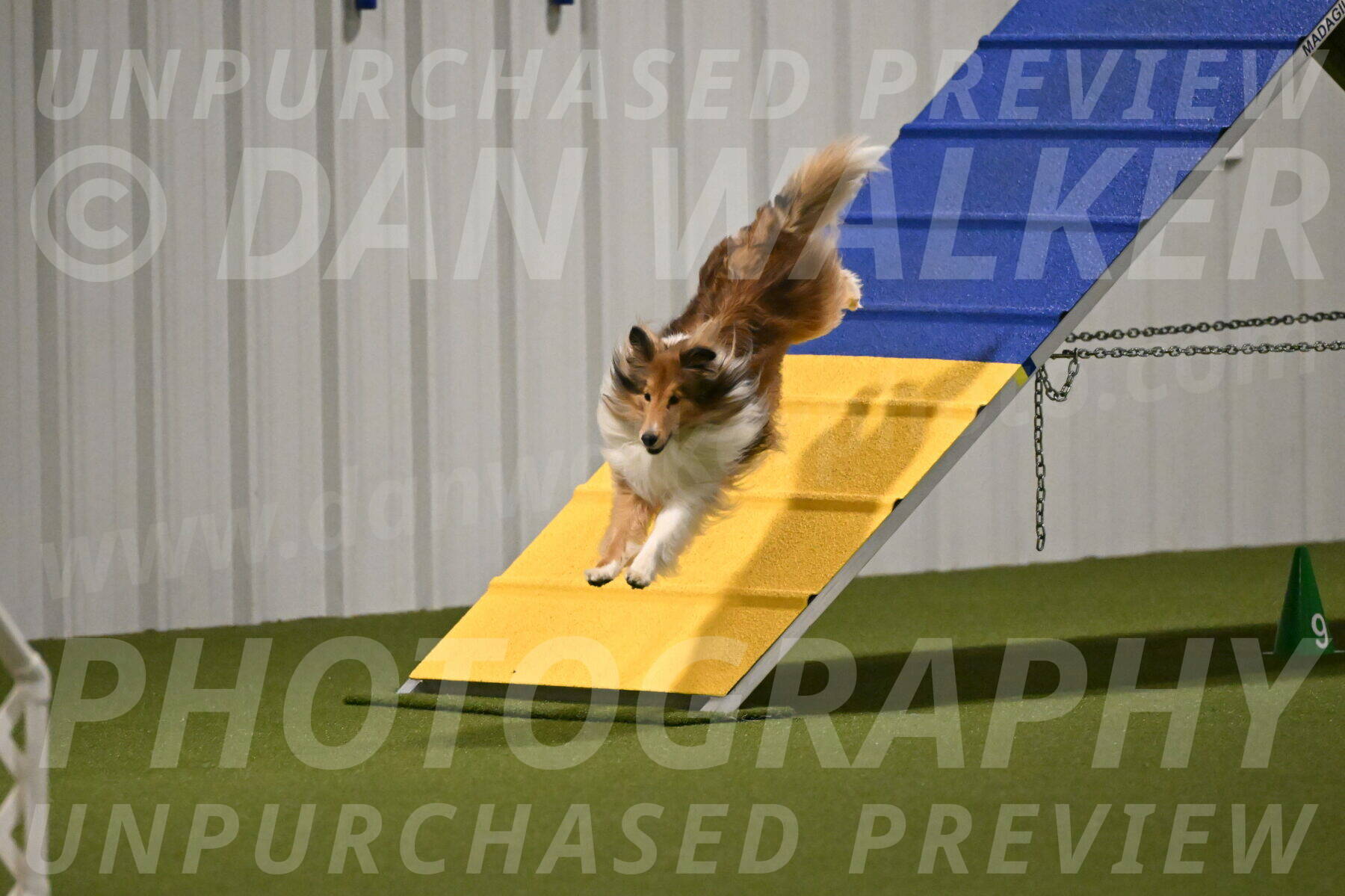 Bailey-Barb-Schmauder-02540