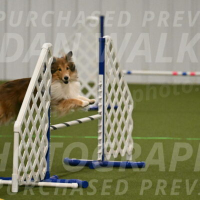 Bailey-Barb-Schmauder-02541