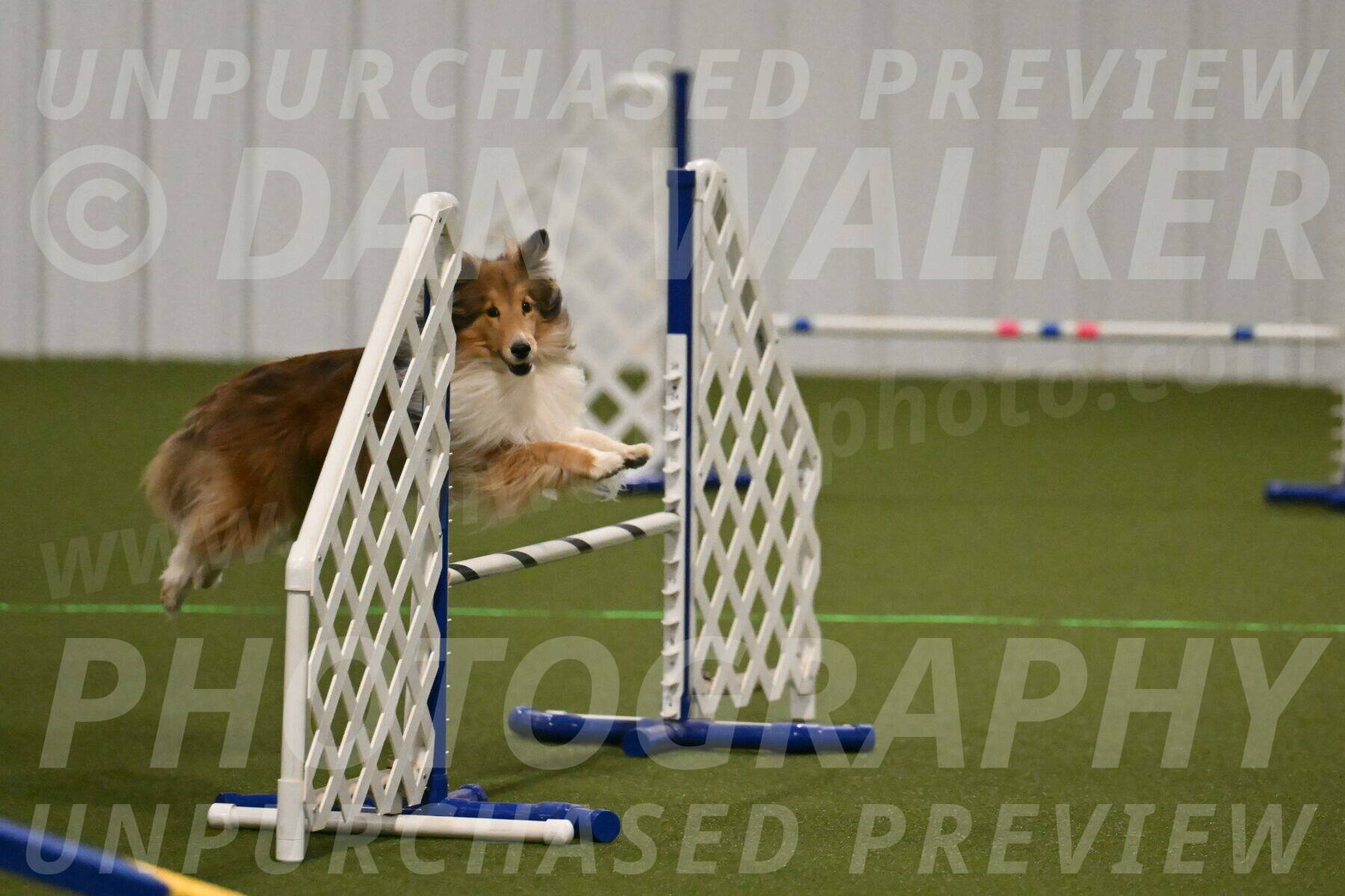 Bailey-Barb-Schmauder-02541