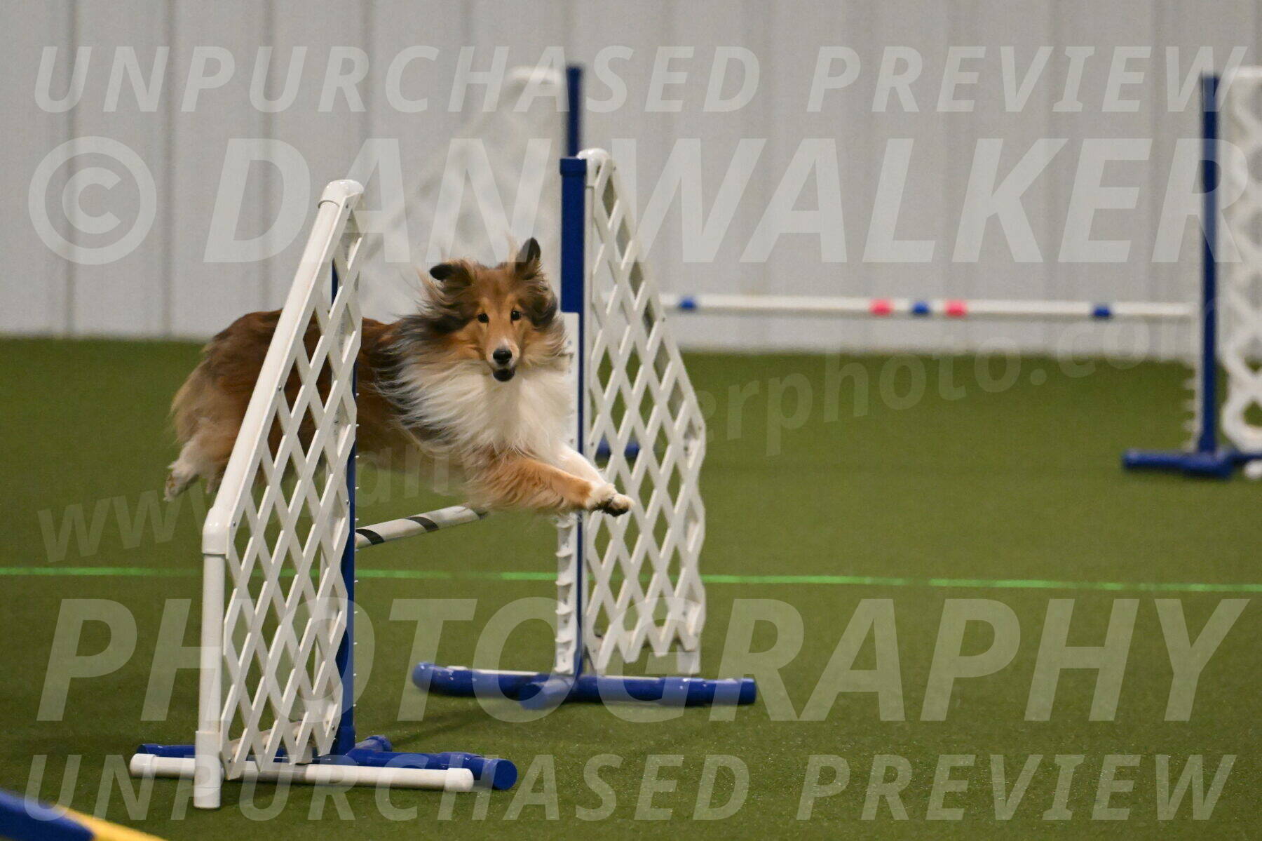 Bailey-Barb-Schmauder-02542