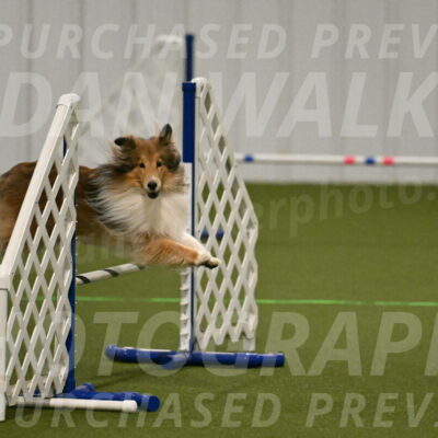 Bailey-Barb-Schmauder-02542