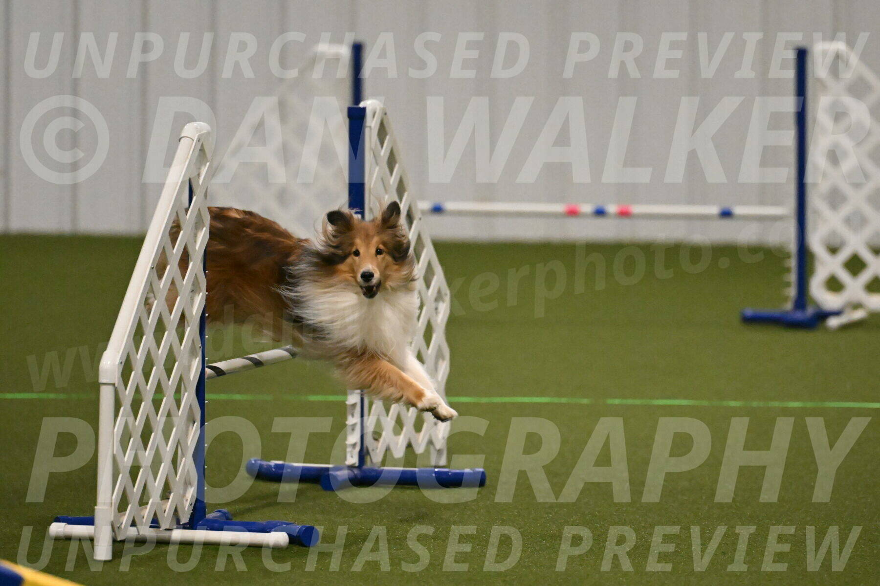 Bailey-Barb-Schmauder-02543