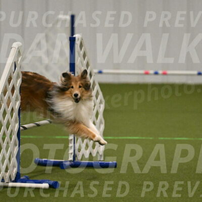 Bailey-Barb-Schmauder-02543