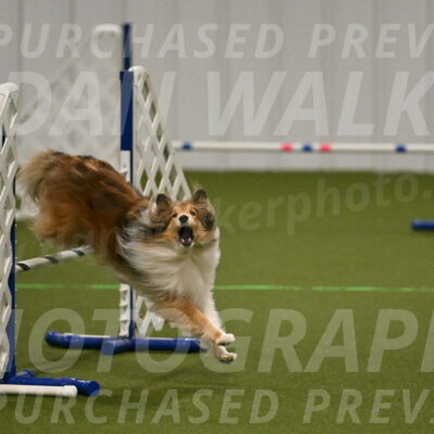 Bailey-Barb-Schmauder-02544