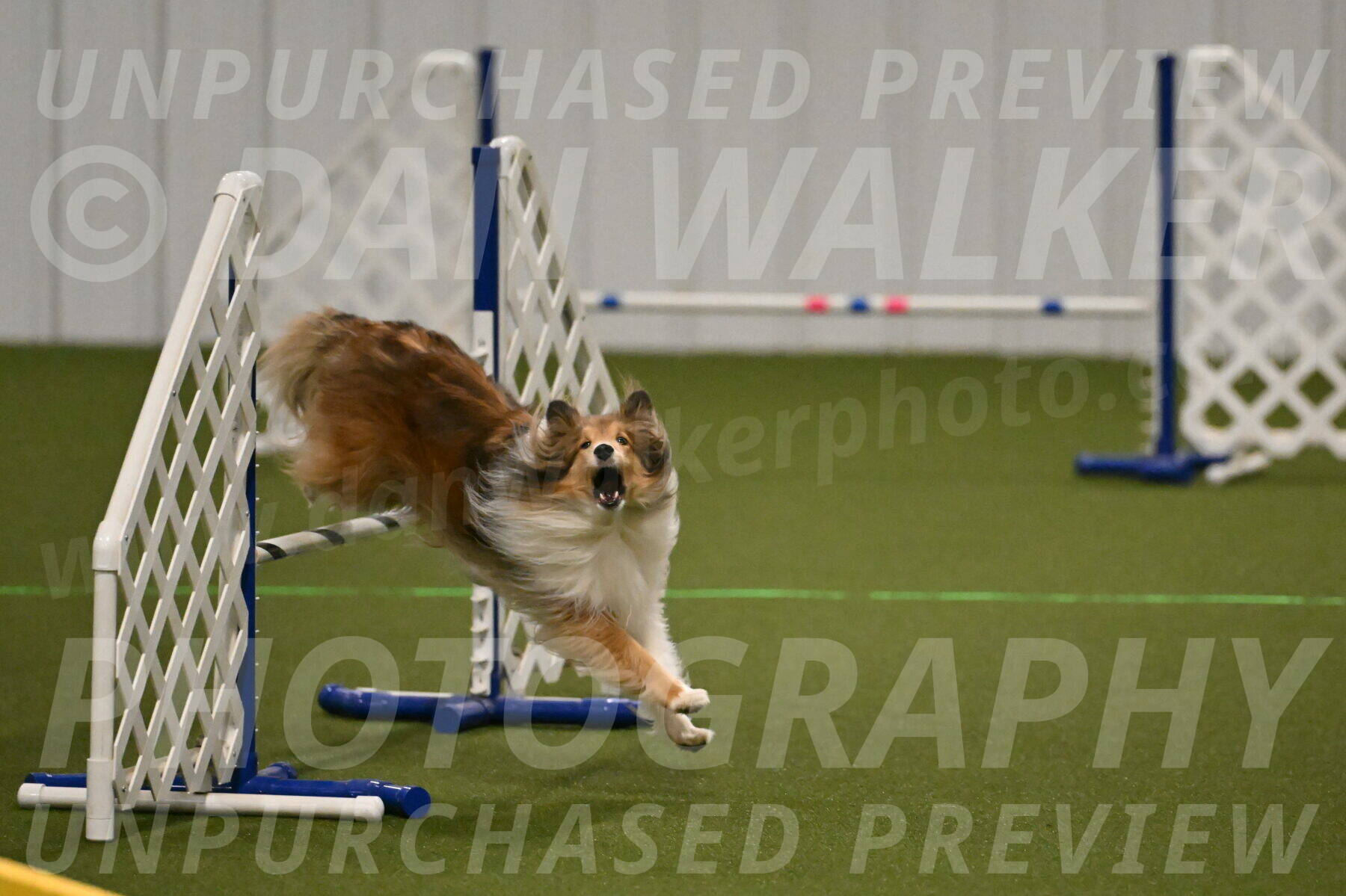 Bailey-Barb-Schmauder-02544