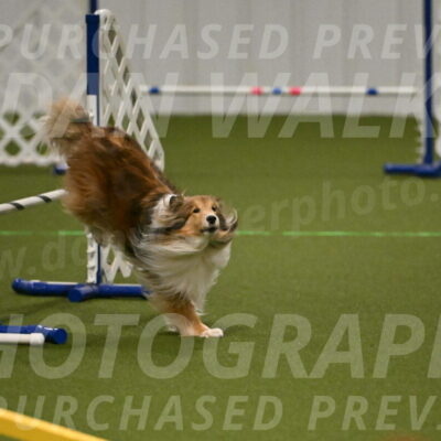 Bailey-Barb-Schmauder-02545