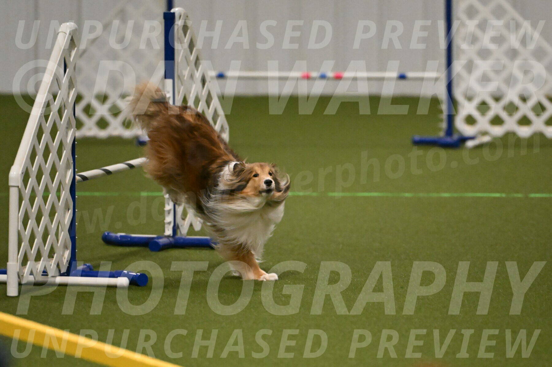 Bailey-Barb-Schmauder-02545