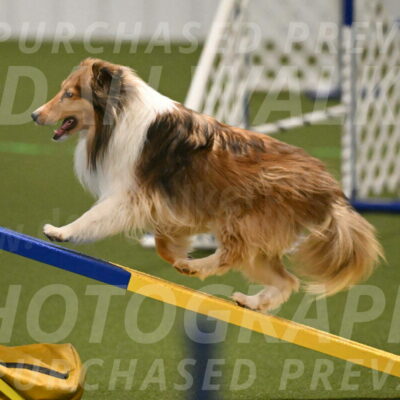 Bailey-Barb-Schmauder-02546