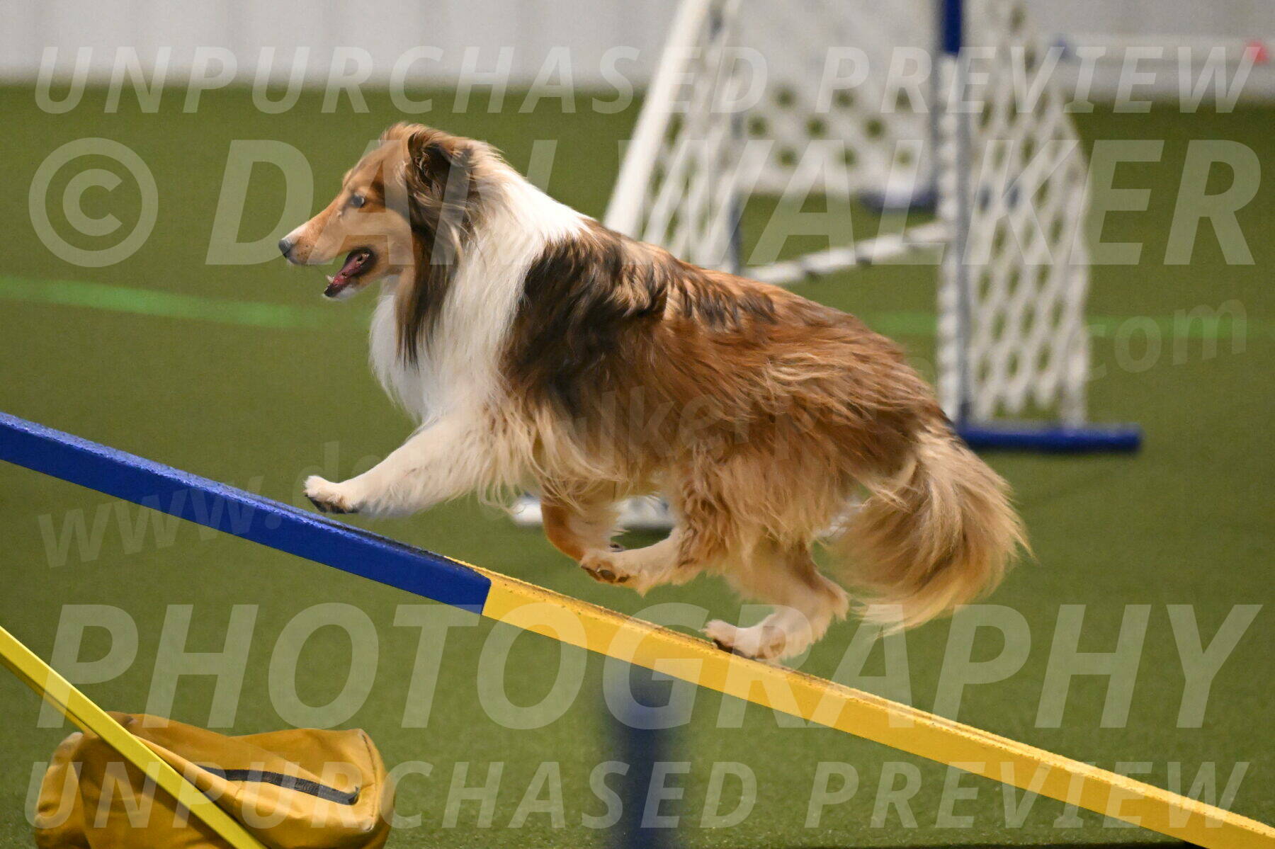 Bailey-Barb-Schmauder-02546