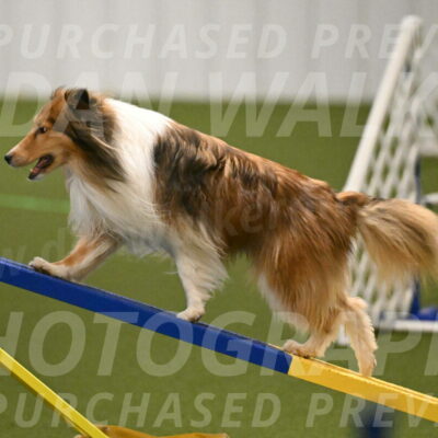 Bailey-Barb-Schmauder-02547