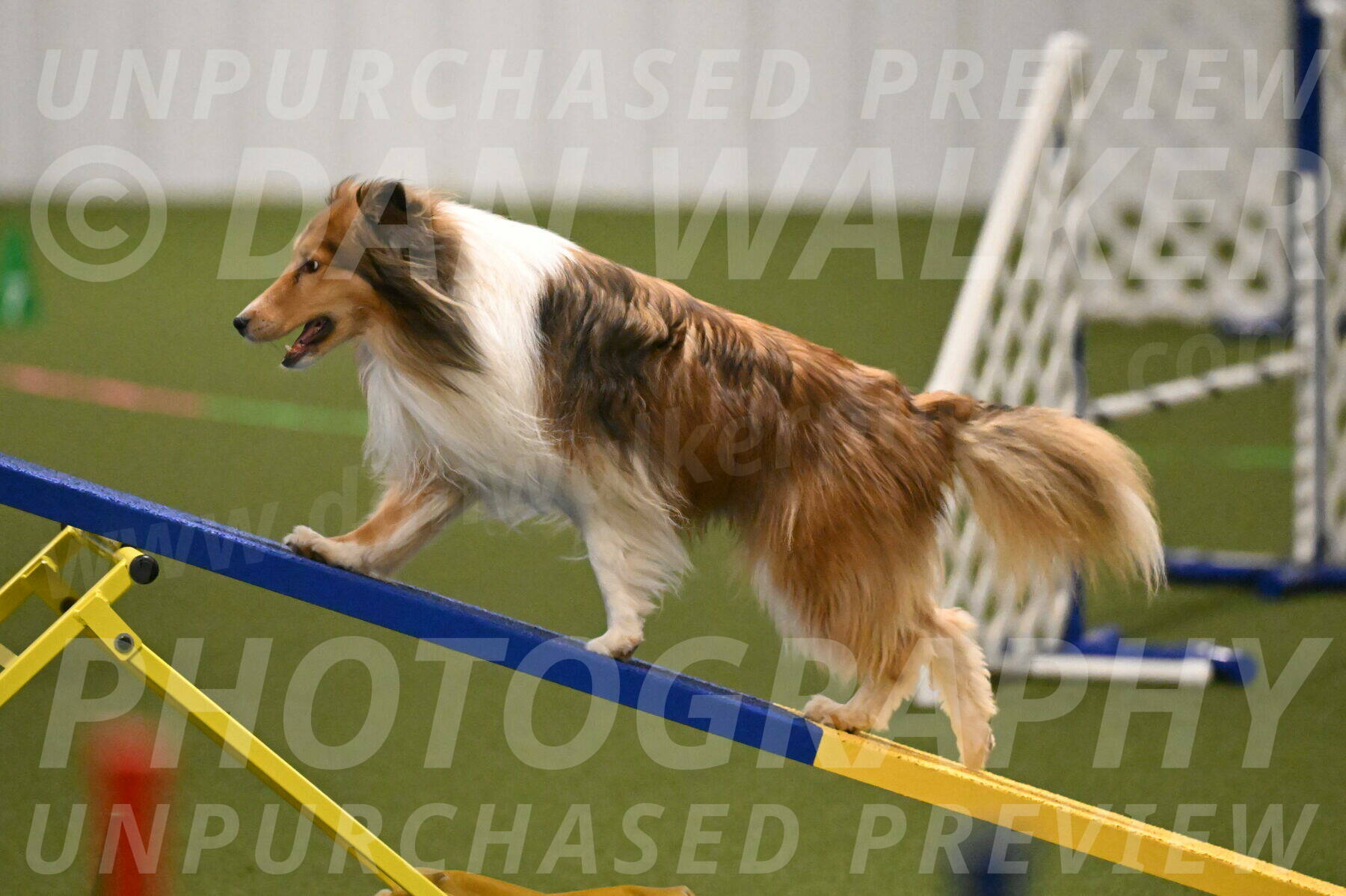 Bailey-Barb-Schmauder-02547