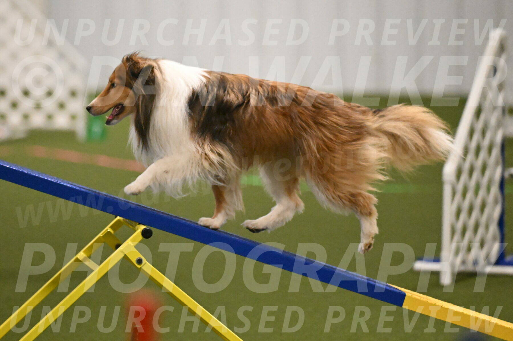 Bailey-Barb-Schmauder-02548