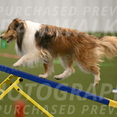 Bailey-Barb-Schmauder-02548