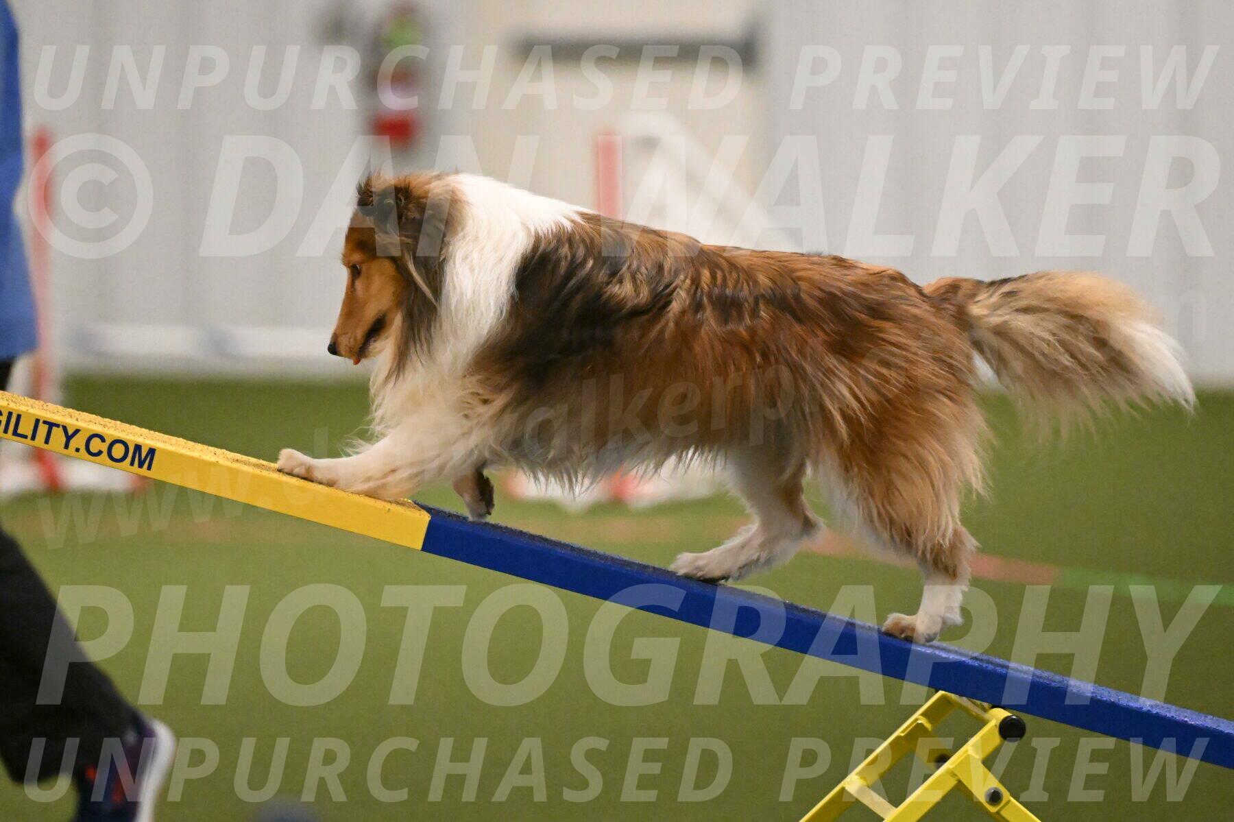 Bailey-Barb-Schmauder-02549