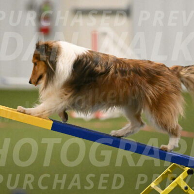 Bailey-Barb-Schmauder-02549