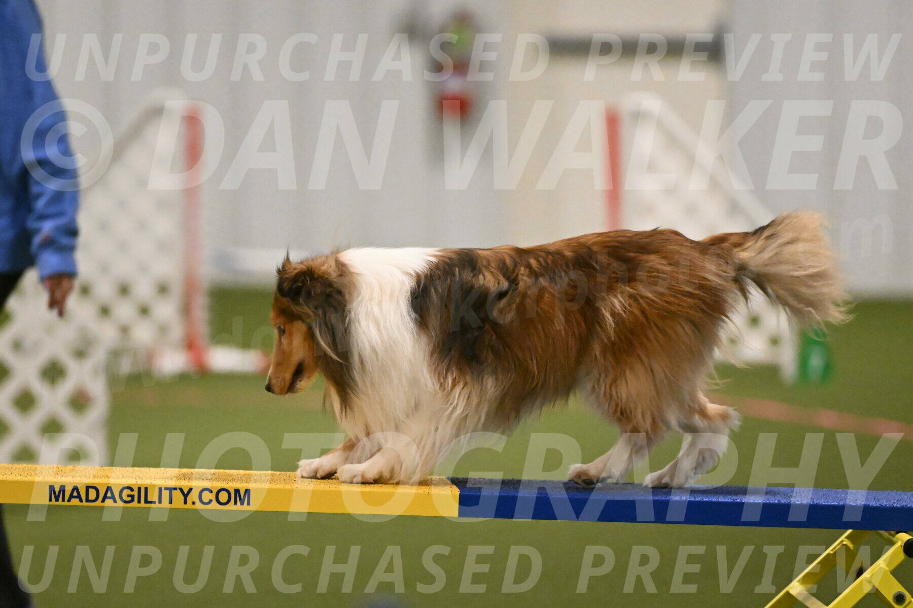 Bailey-Barb-Schmauder-02550