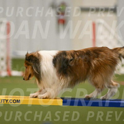 Bailey-Barb-Schmauder-02550