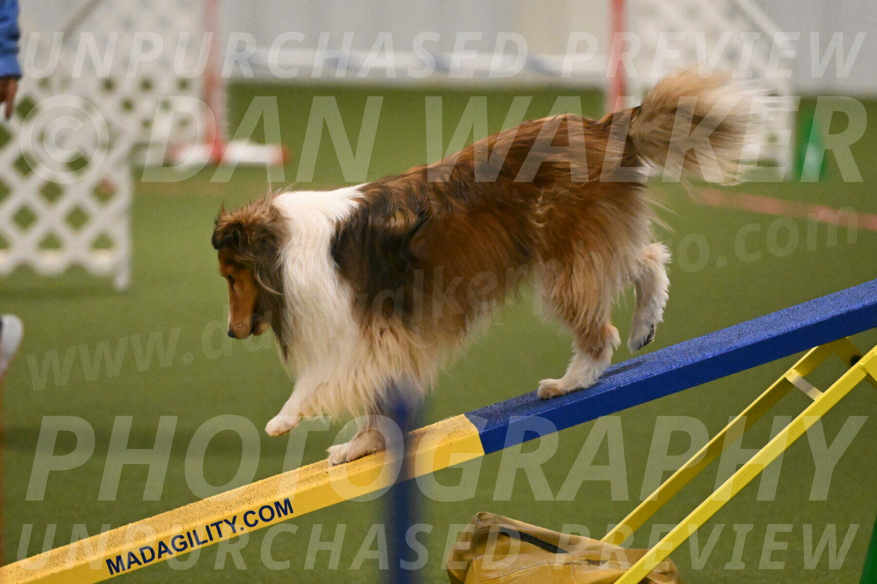 Bailey-Barb-Schmauder-02551