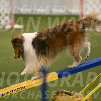 Bailey-Barb-Schmauder-02551