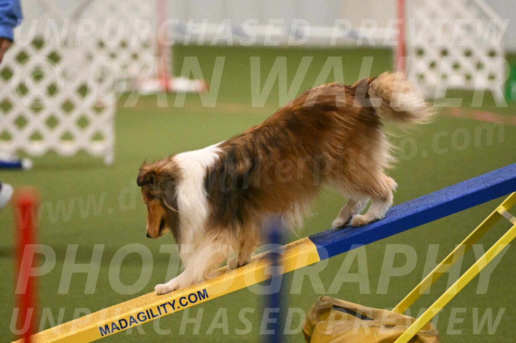 Bailey-Barb-Schmauder-02552