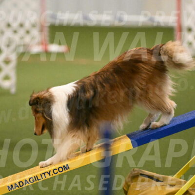 Bailey-Barb-Schmauder-02552