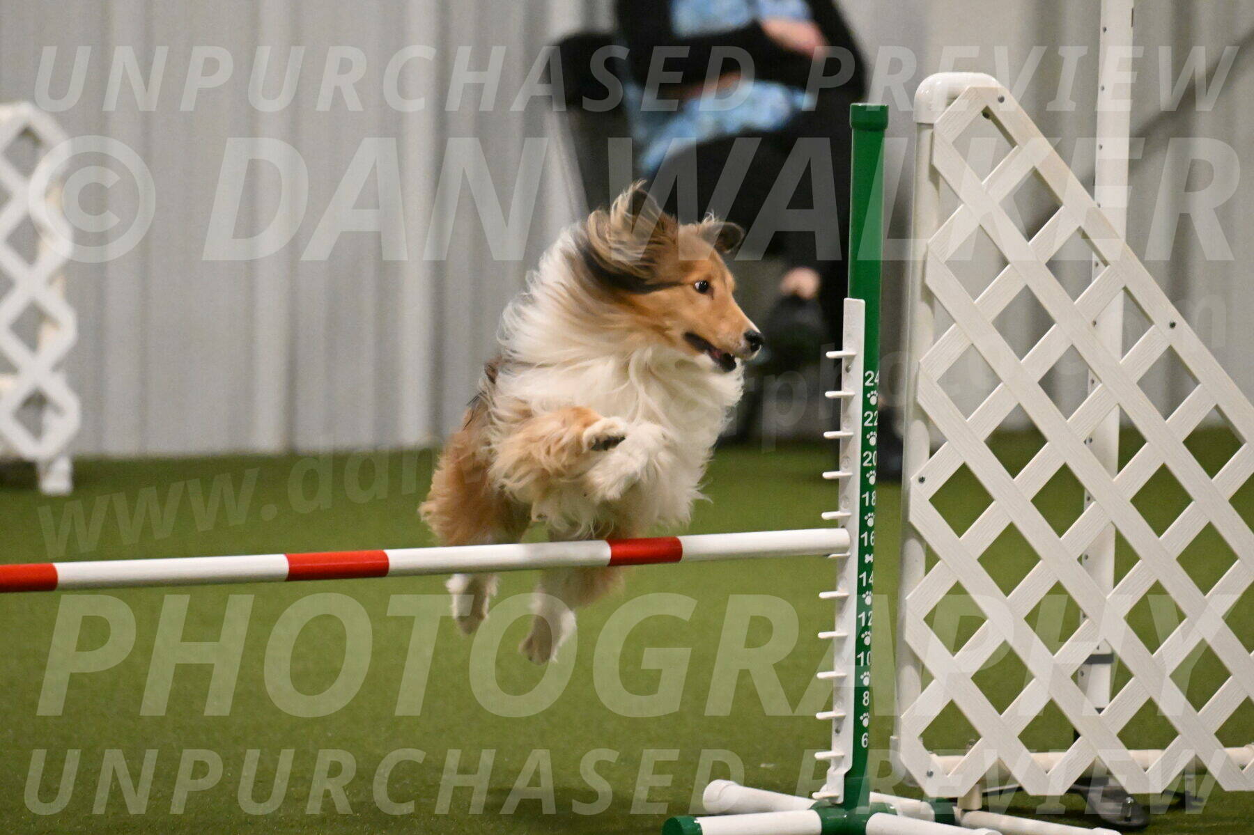 Bailey-Barb-Schmauder-02553